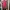 ZARA Lolita Casual Babydoll Dress Wanita Pink
