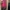 ZARA Lolita Casual Babydoll dress Wanita pink photo 2