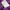 Petty Soul Angel Wings Thermal Tanktop photo 7