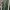 Casual Maxi dress Wanita green photo 1