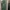 Casual Maxi dress Wanita green photo 2