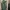 Casual Maxi Dress Wanita Green