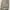 CARGO PANTS BY CARHARTT photo 5