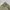 CARGO PANTS BY CARHARTT photo 9
