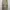 CARGO PANTS BY CARHARTT photo 2