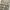 CARGO PANTS BY CARHARTT photo 10