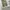Coen japan military fatigue pants photo 5