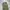 Coen japan military fatigue pants photo 4