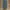 Levi's 501 Jeans photo 2