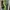 Shein Casual Jumpsuit Wanita green photo 1