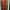 Shein Casual Going out dress Wanita orange photo 3