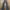 OOTJ Flared Jeans photo 2