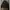 Dickies Vintage Streetwear Harrington jacket Pria black photo 8
