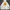 HUF Streetwear Skater Hoody Pria white photo 1