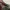 Nike Daybreak photo 6