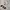Nike NSW Luxury Casual Hoody Pria white photo 1