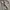 Y2K BAGGY PANTS vintage  photo 3