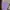 Guess Luxury Casual T-shirt Pria purple photo 1