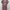 Calla The Label - Aniston Ruffle Dress Pink (NEW)