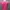Pink flower summer top photo 2