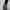 Latoya USA Camouflage Baggy Pants photo 5