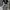 Latoya USA Camouflage Baggy Pants photo 6