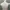 White pinguin crop top photo 2