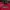 New Balance Streetwear Sweater Pria red photo 5