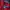 New Balance Streetwear Sweater Pria red photo 7