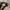Gramicci OGT Loose Tapered Ride Pants  photo 3