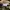Gramicci OGT Loose Tapered Ride Pants  photo 6
