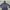 Jaket helihanson photo 3