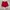 Russell Athletic Vintage Streetwear Short Pria red photo 4