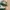 Adidas Casual Sneakers Pria white green photo 2