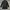Bally trench coat photo 10