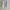slim fit SIZE M Brook brothers branded photo 7