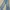 Genchic High Waist Loose Fit Straight Leg Jeans