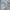 Polo Ralph Lauren Luxury Minimalist Formal shirt Pria white photo 3
