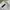 Polo Ralph Lauren Luxury Minimalist Formal shirt Pria white photo 2
