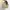 vintage 90s burberry golf hats photo 3