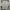 Casual Crop top Wanita white photo 2