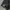 Y2K Surveve studed mudwash hot pant photo 2