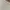 Giordano Sportswear Minimalist Sweater Pria white photo 2
