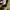 Carpenter field & stream photo 5