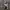 Y2K Grunge Mini skirt Wanita black photo 4