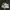 Nike Indie Futurist Sneakers Pria white black photo 1