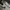 Nike Indie Futurist Sneakers Pria white black photo 2