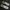 Nike Indie Futurist Sneakers Pria white black photo 3