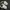 Nike Indie Futurist Sneakers Pria white black photo 6