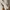 New Balance Streetwear Sportswear Sneakers Pria gray cream photo 2